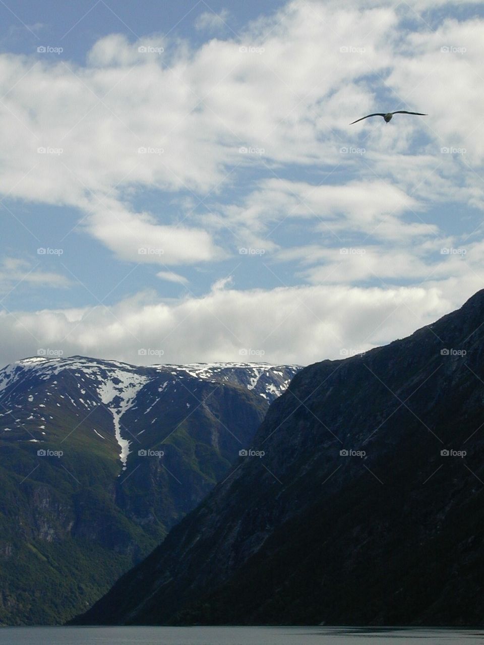 Fjords