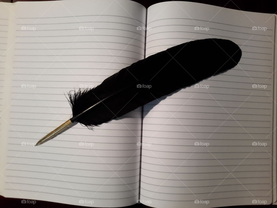 Journal. quill pen on page