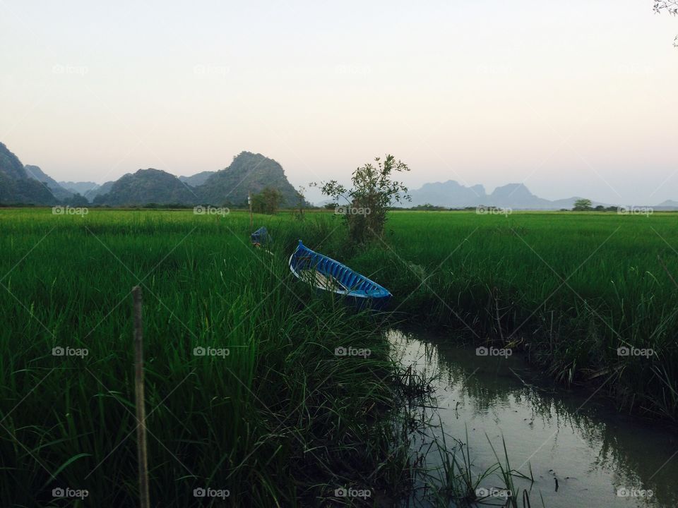 Small boat in front of green rice fields and mountains