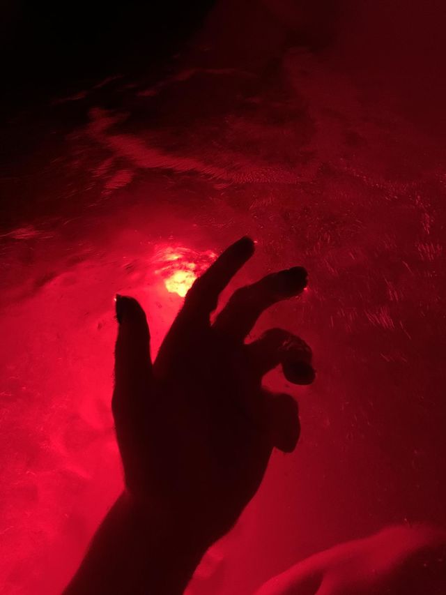 Neat shot I got if my hand.