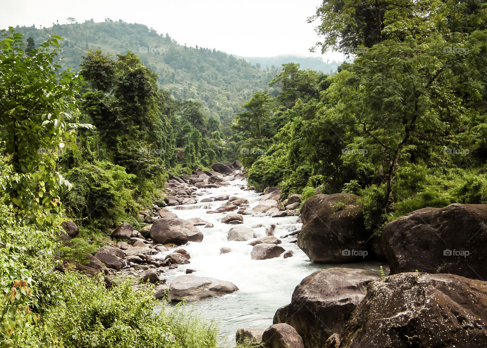 Main tributary of river Teesta, the Rangit river flowing through a dense pristine jungle in northeast of Rangpo Chu at Rangpo settlement just before the Teesta bridge at entrance to East Sikkim.