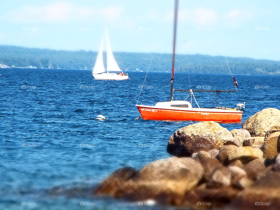 Sailboats on lake just off shoreline in summer