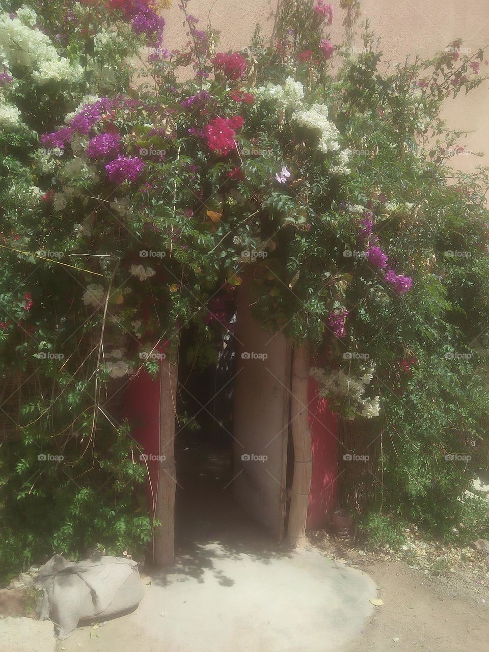 A door decored by flowers