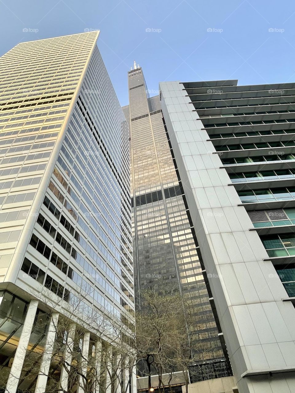 Sears Tower in between.