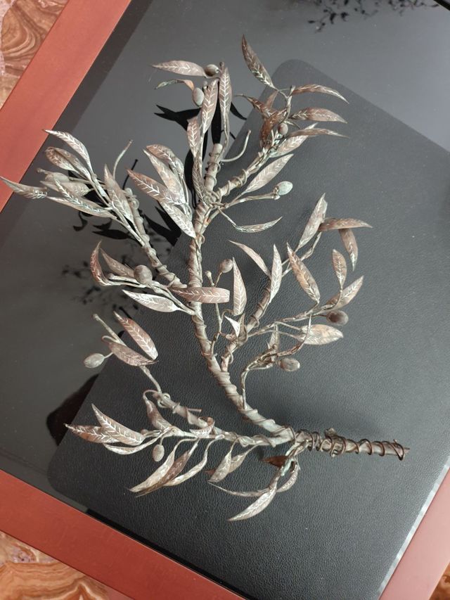 olive tree