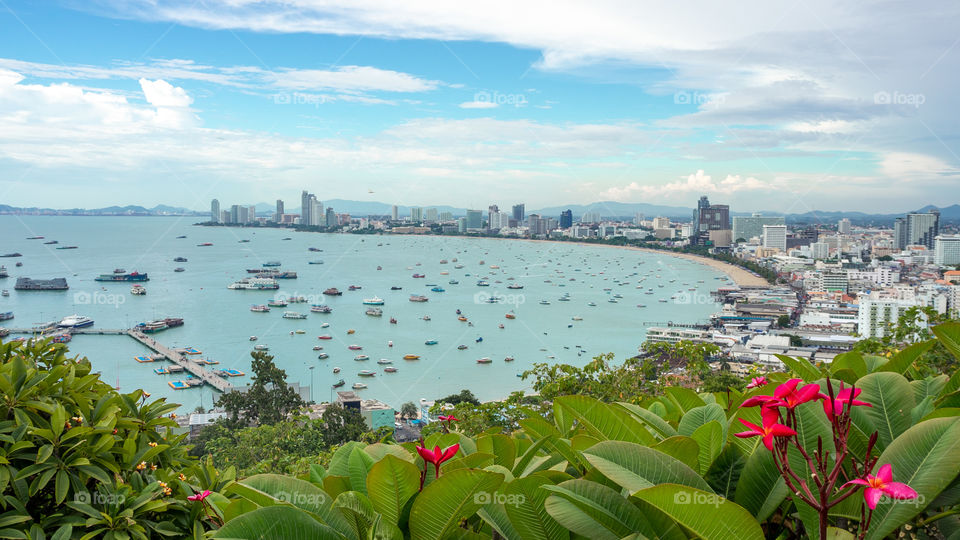 Sea, Sky, Land and Flowers