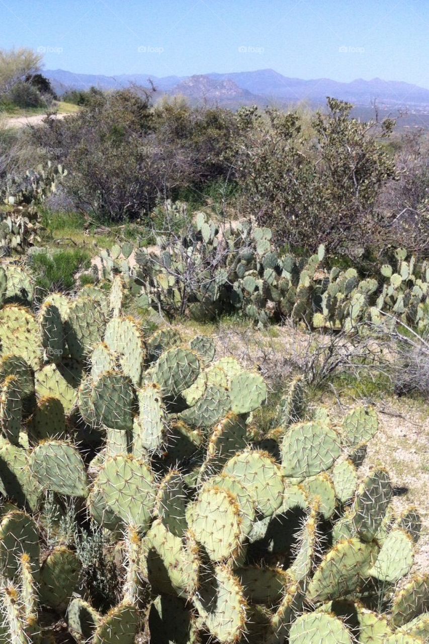 Hiking , desert