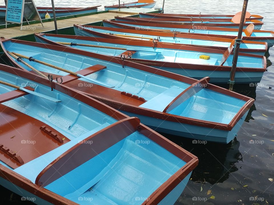 close up of rowing boats on River Thames