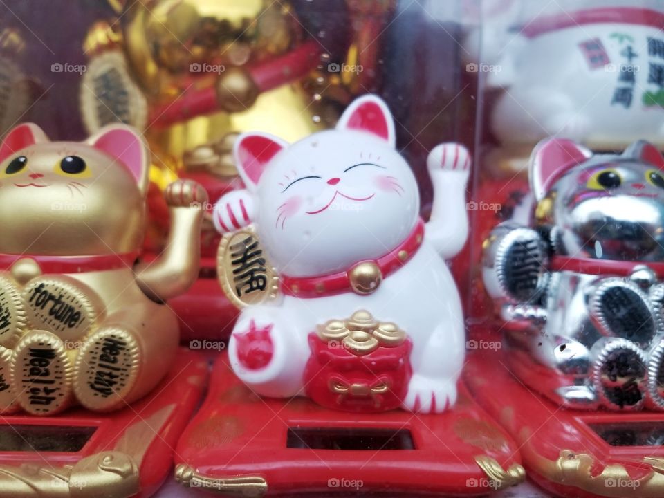 Lucky Cat