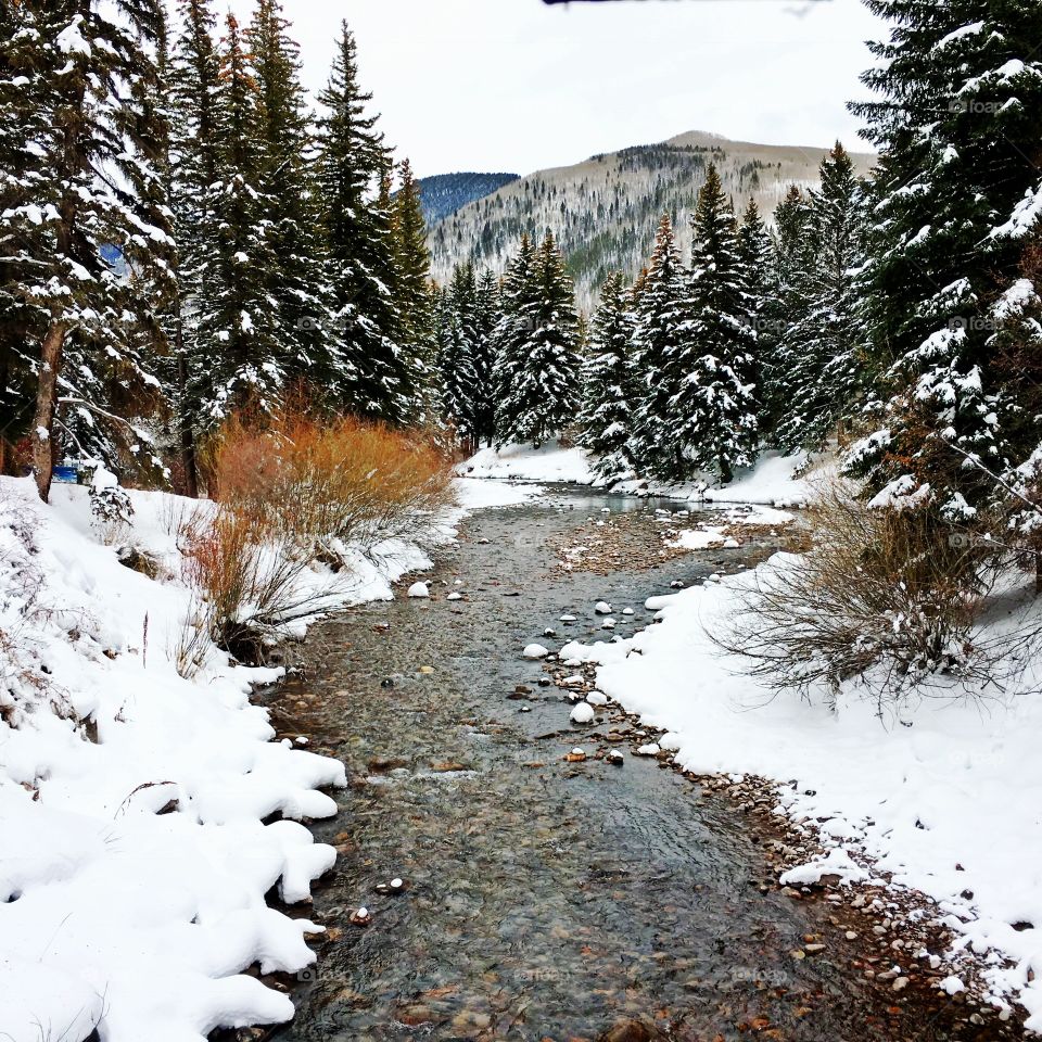 winter stream