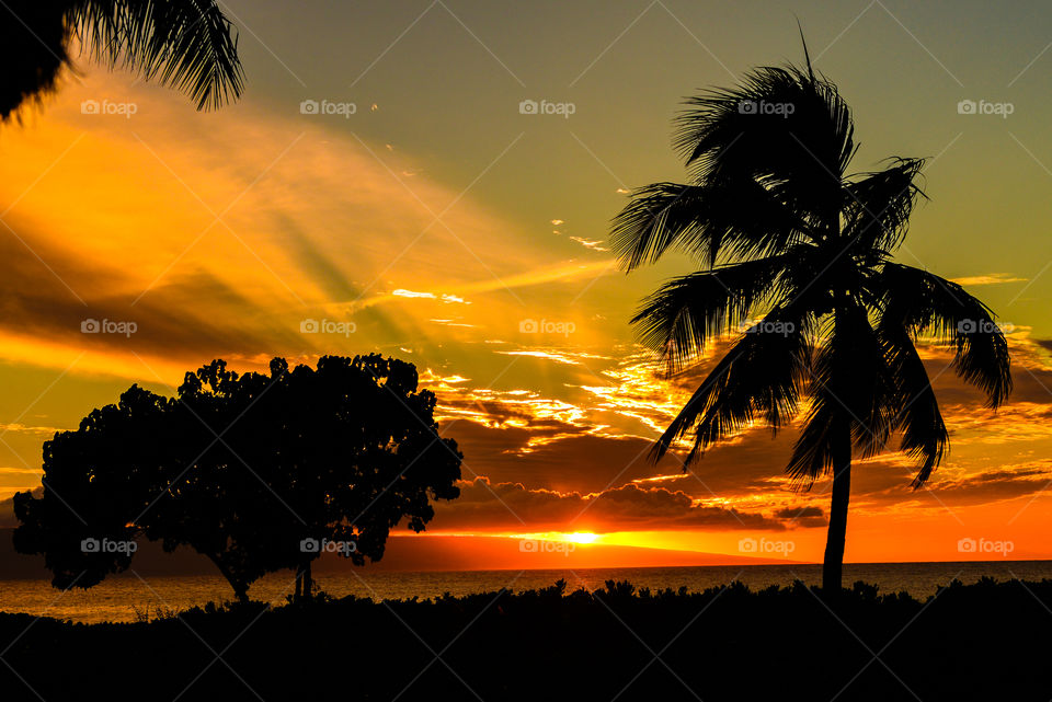 Maui Sunset