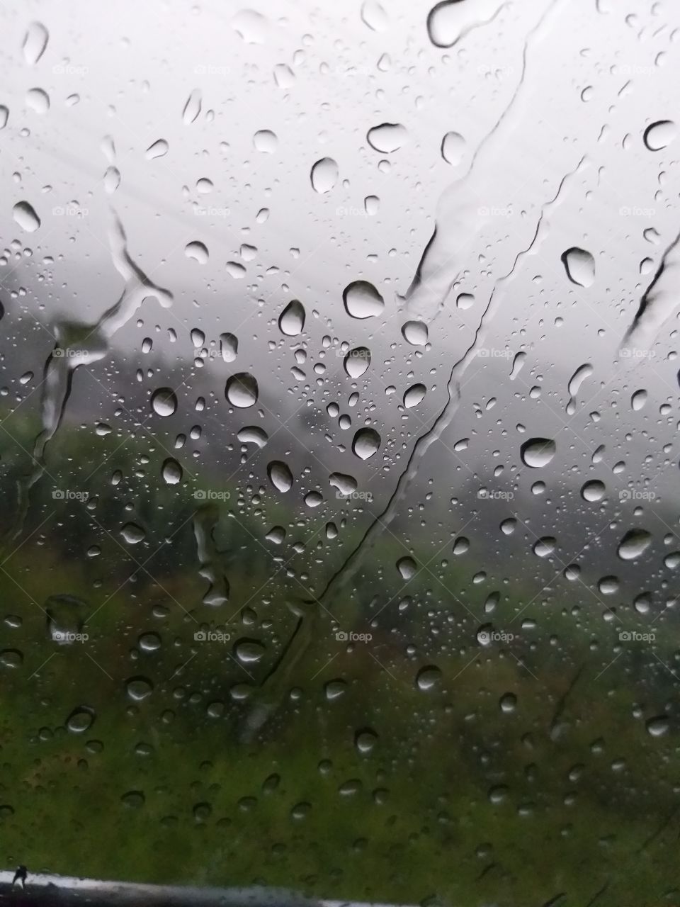 Rain, Wet, Drop, Dew, Droplet