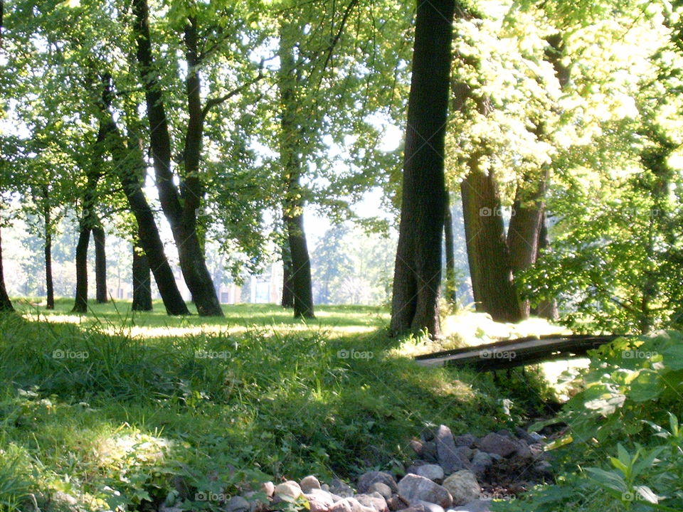 Small Bridge in a Park 