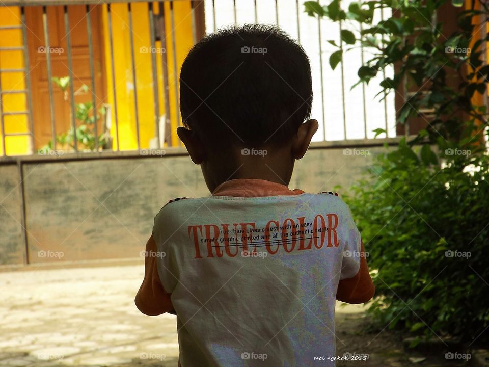 true color. true color of life