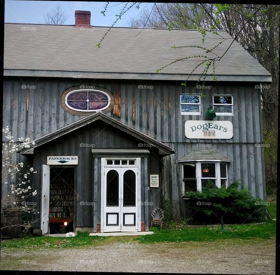 Dog Ears Bookstore in Vermont