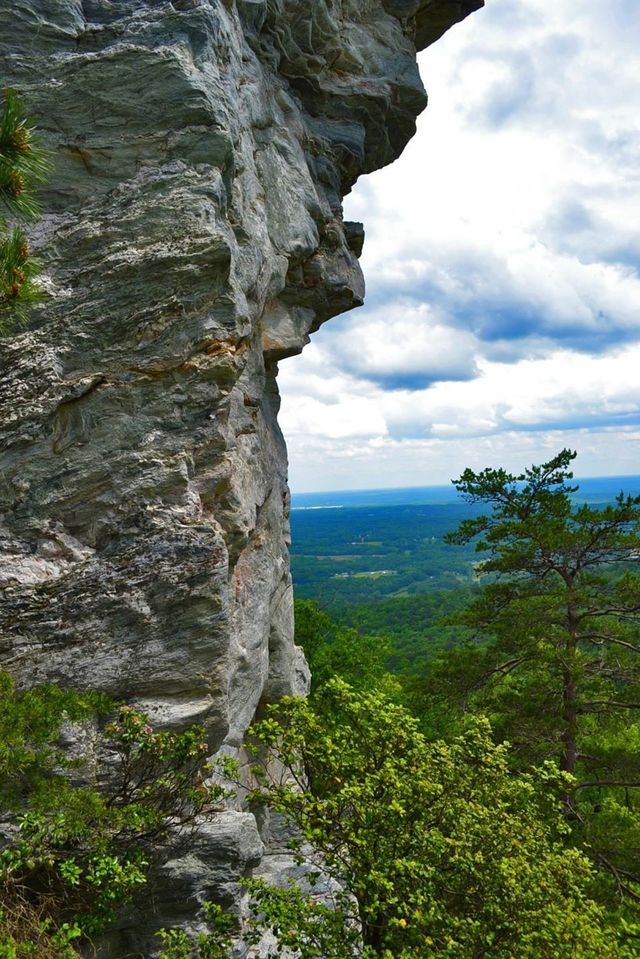 nature