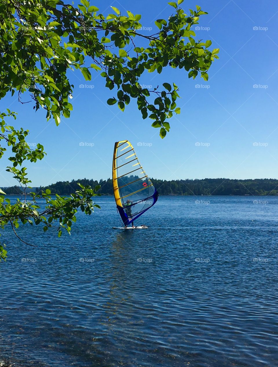 Wind Surfing on the Sound