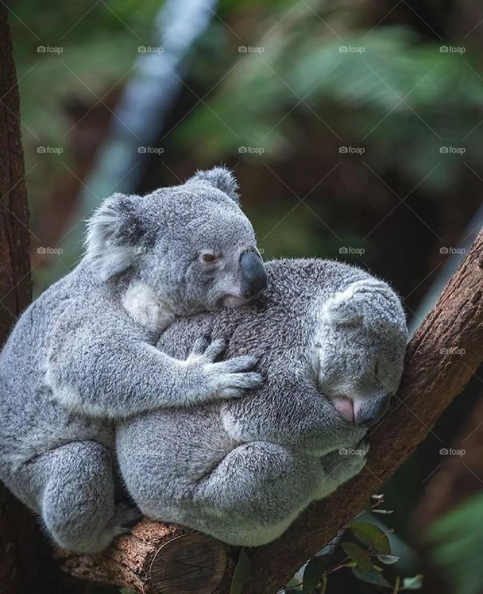 beautiful picture