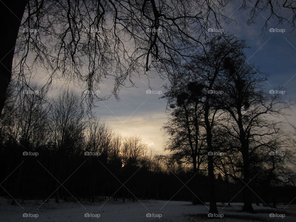 A Cold Winters Evening