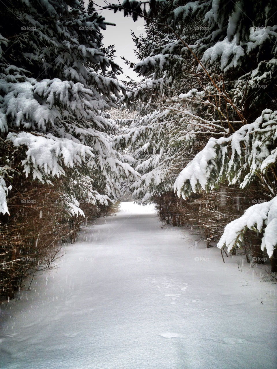 View of winter day