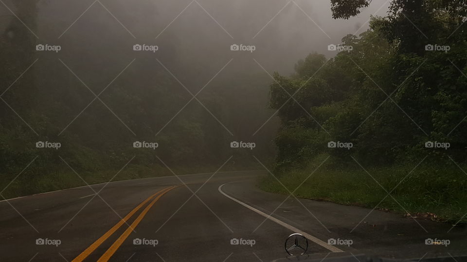creepy forest road fog curve driving chills mercedes benz dark clouds closed chilling thrill dangerous warning hazard another world silent hill ambient nature beautiful