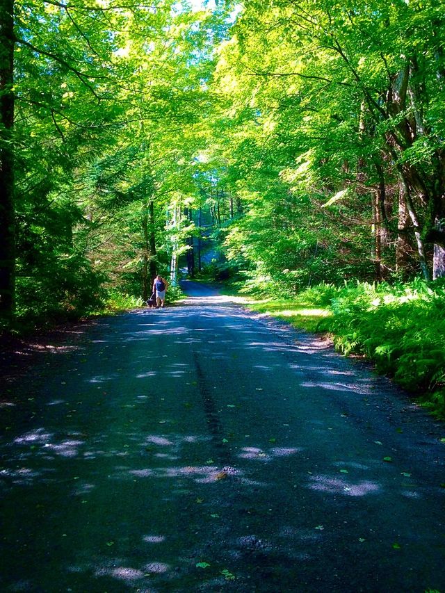 Road
