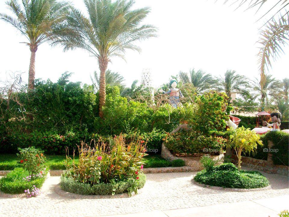 garden palm sky flowers by arman