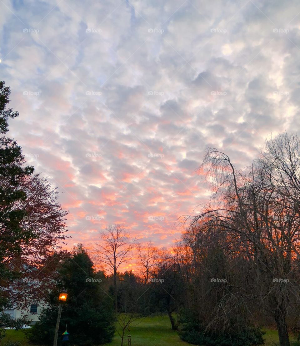 Christmas Eve back lit clouds 🎄❤️