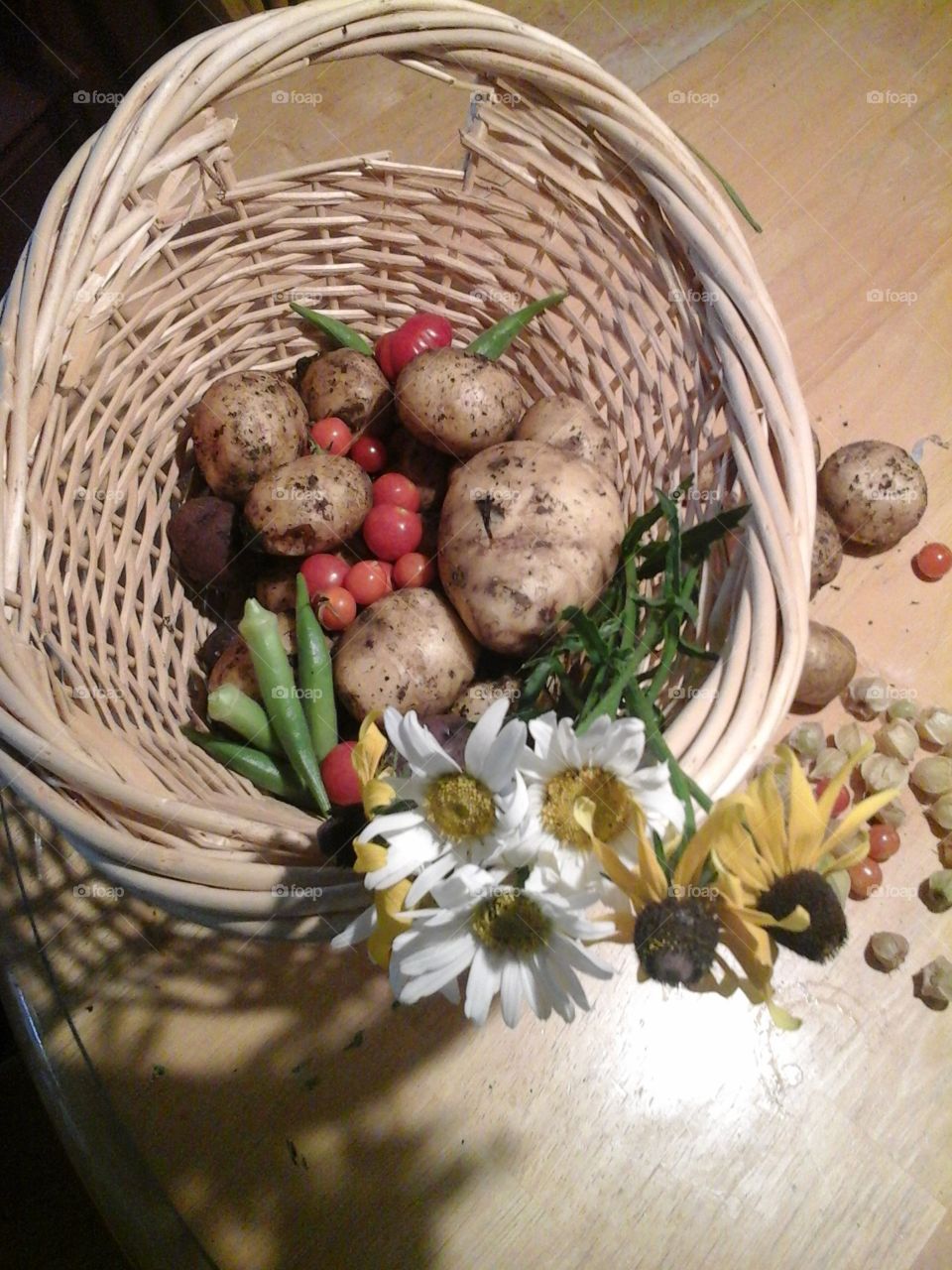 basket of pickings from the garden