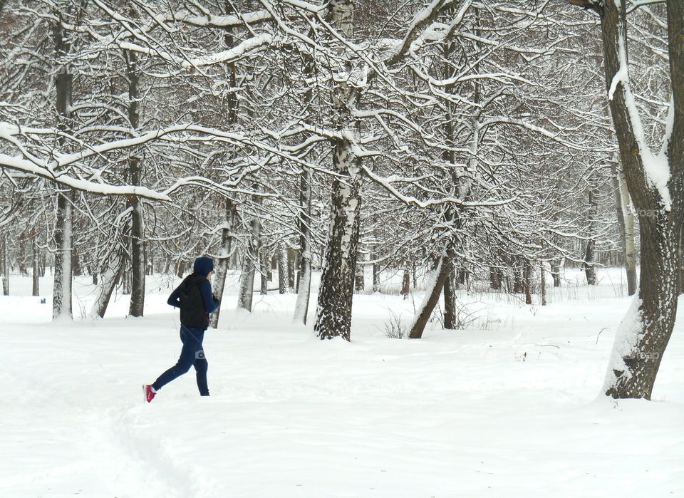 Snow, Winter, Cold, Frost, Ice