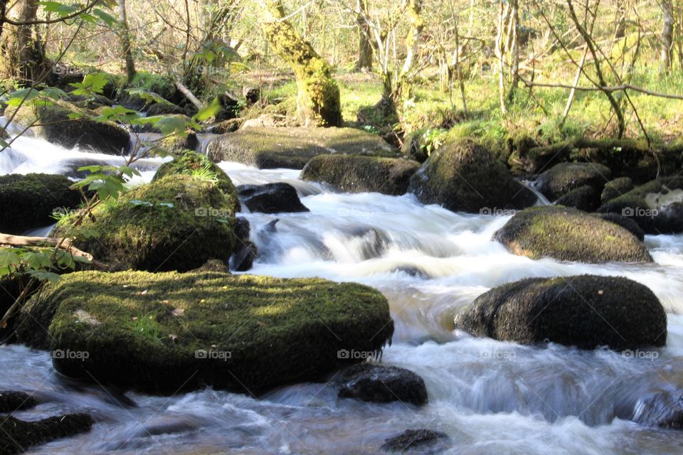 River Bovey