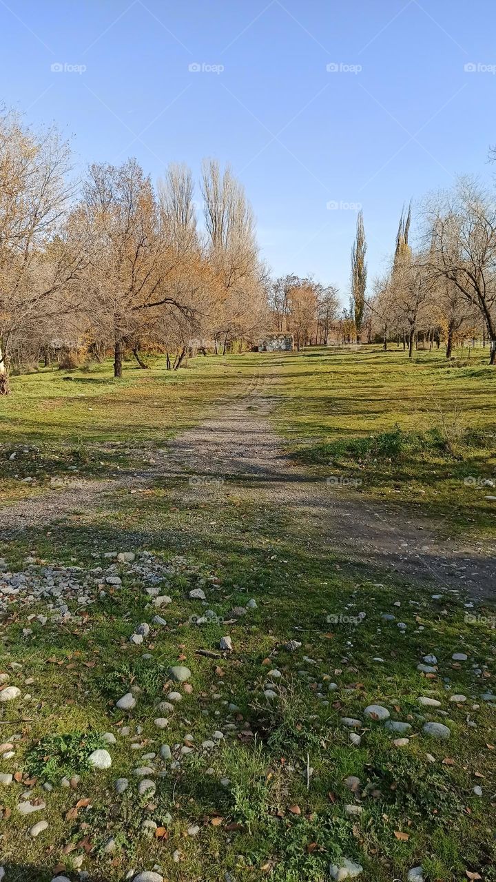 autumn landscape green grass and yellow leaves belly left trees what is the strange building far  away?