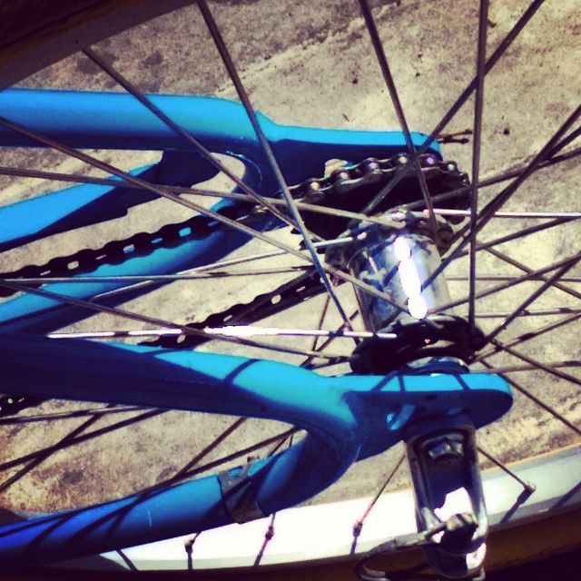 Blue Bike #3