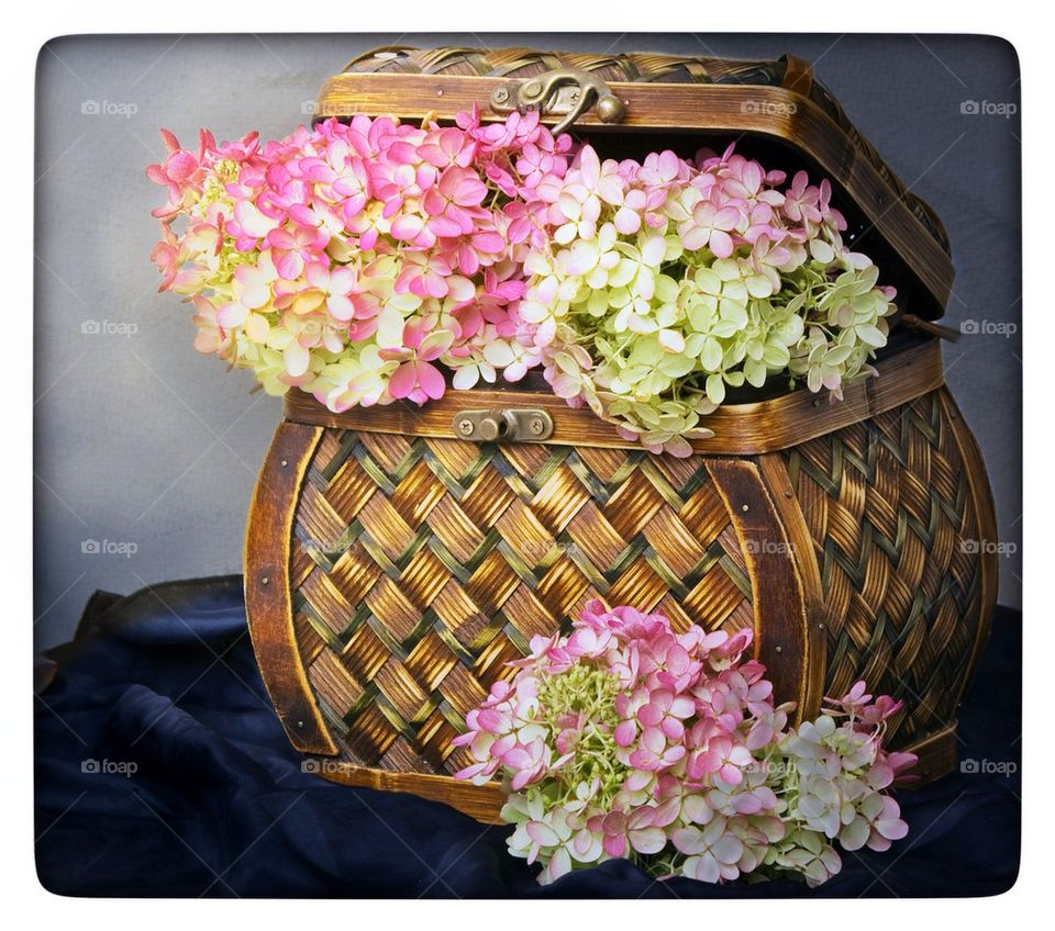 Basket of Beauty