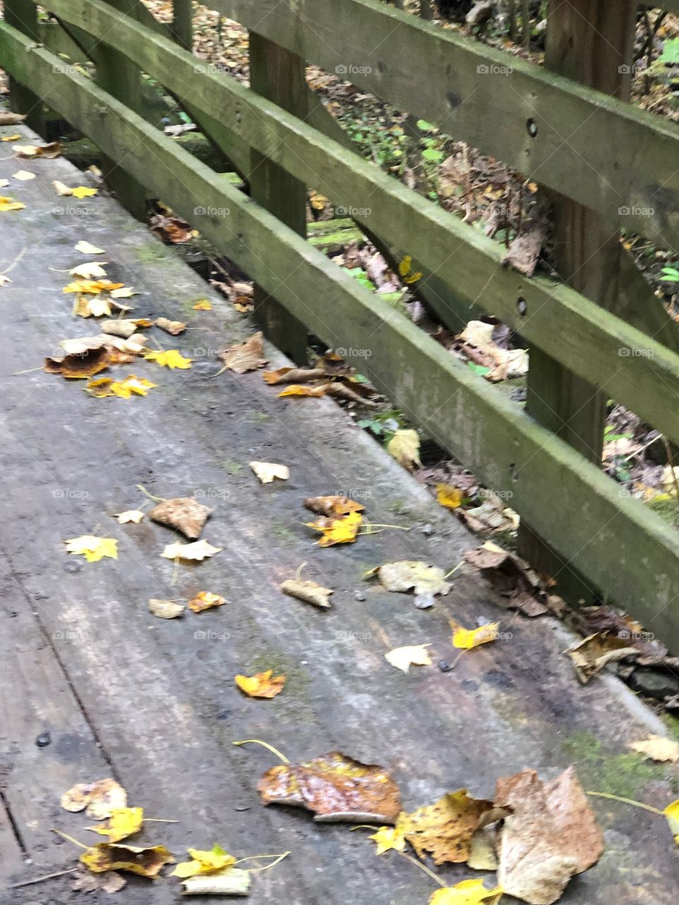 Frick park Pittsburgh PA