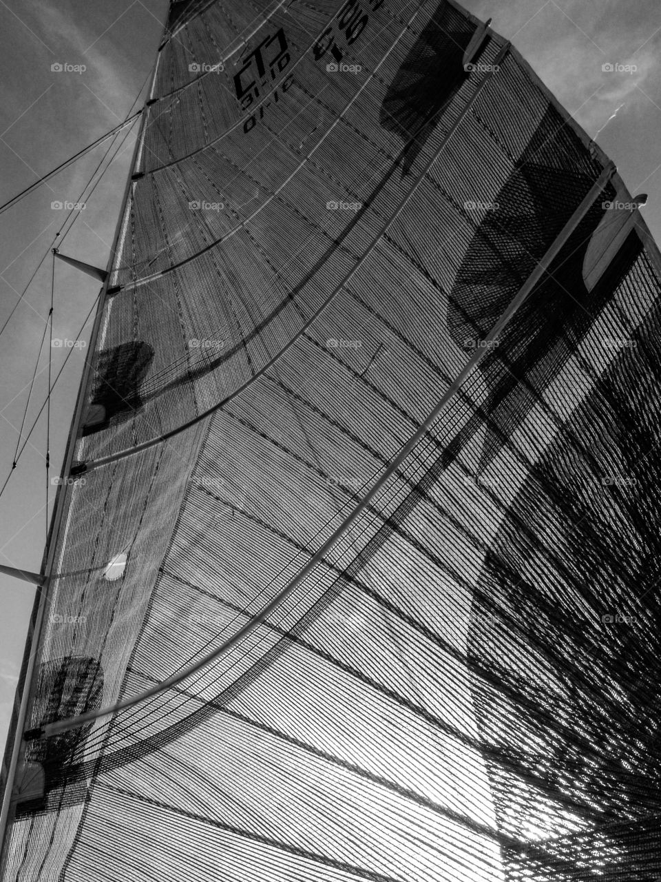 Mylar sails