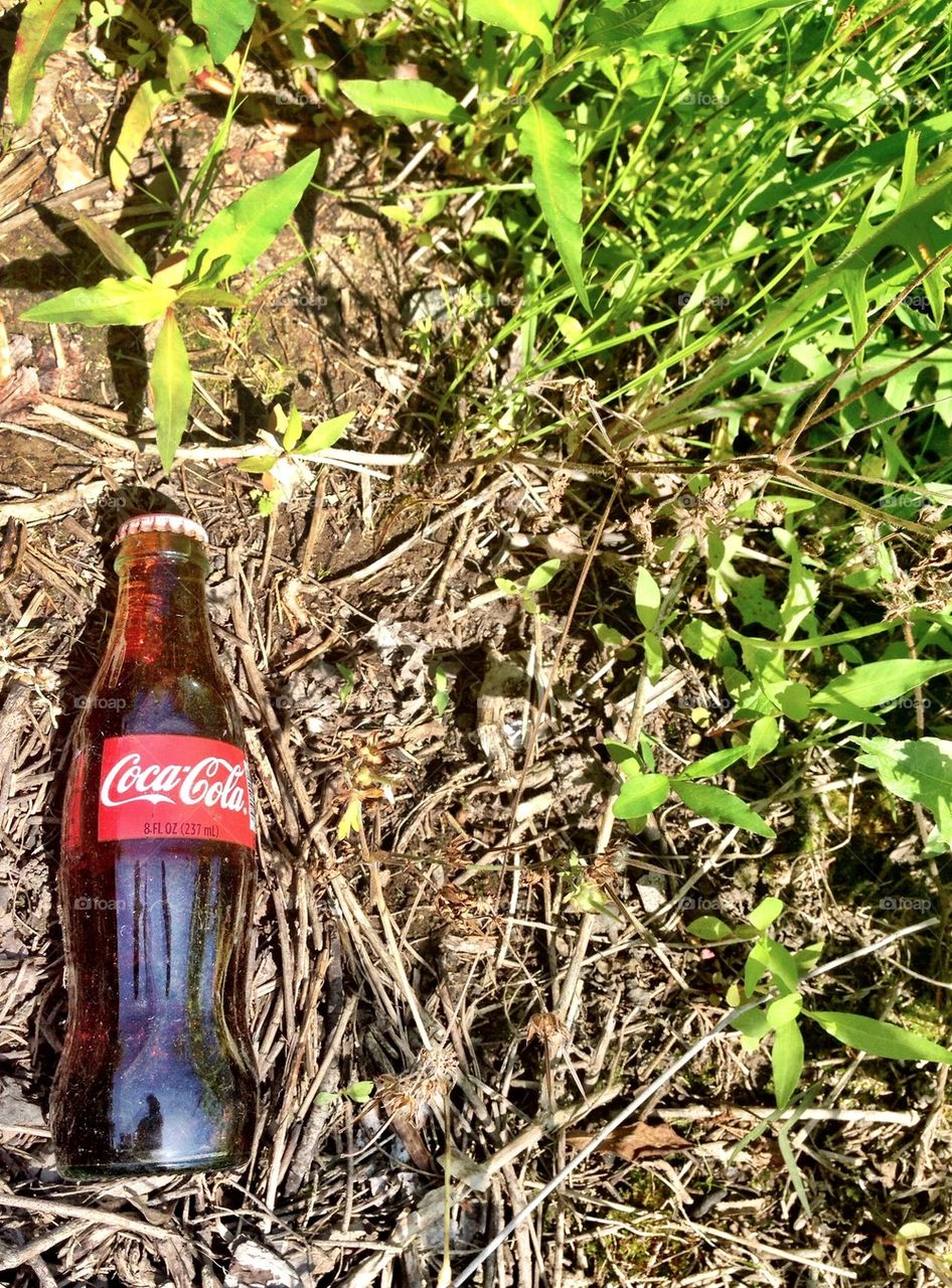 Lost coke 