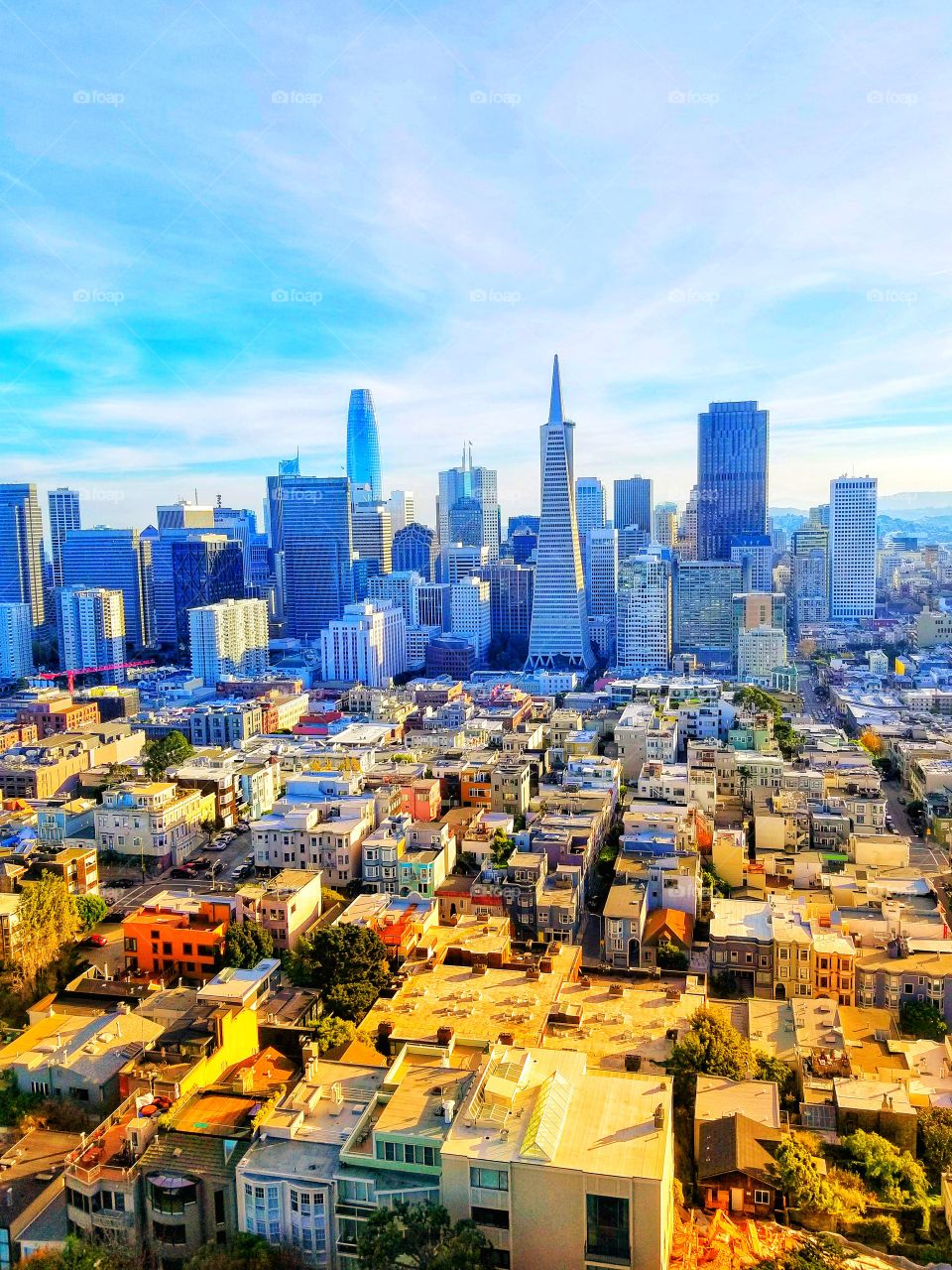 SAN FRANCESCO|california