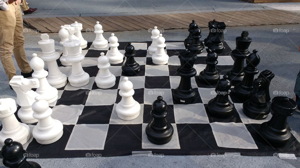Lifesize Chess