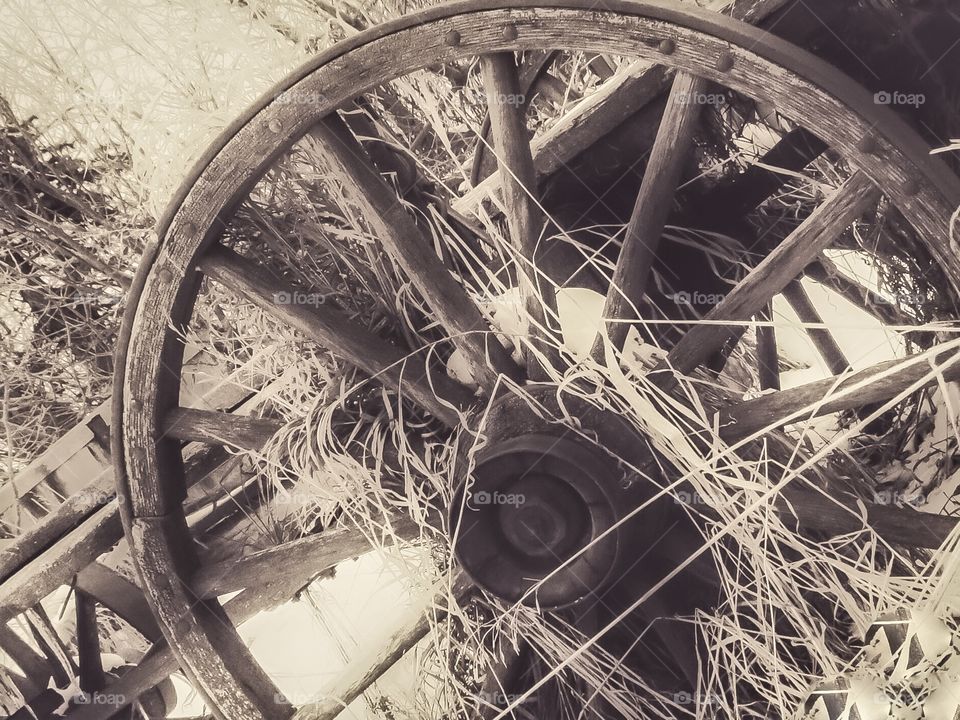 Old farm wagon wheel 