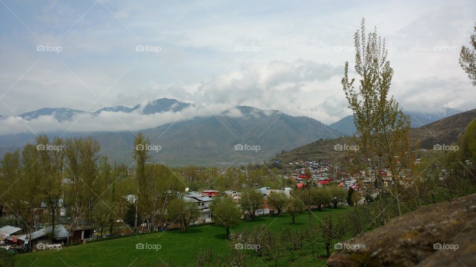 Mountain, Landscape, Tree, Travel, No Person