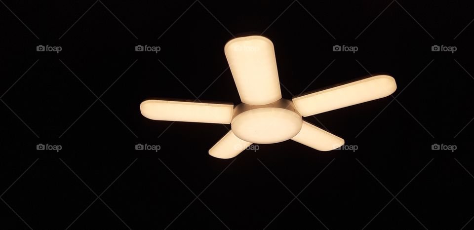 Beautiful light bulb