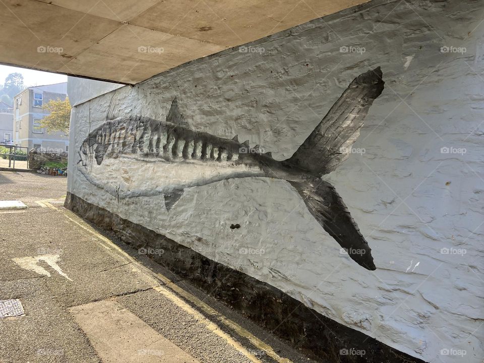 Giant fish … art… in a fishing village 