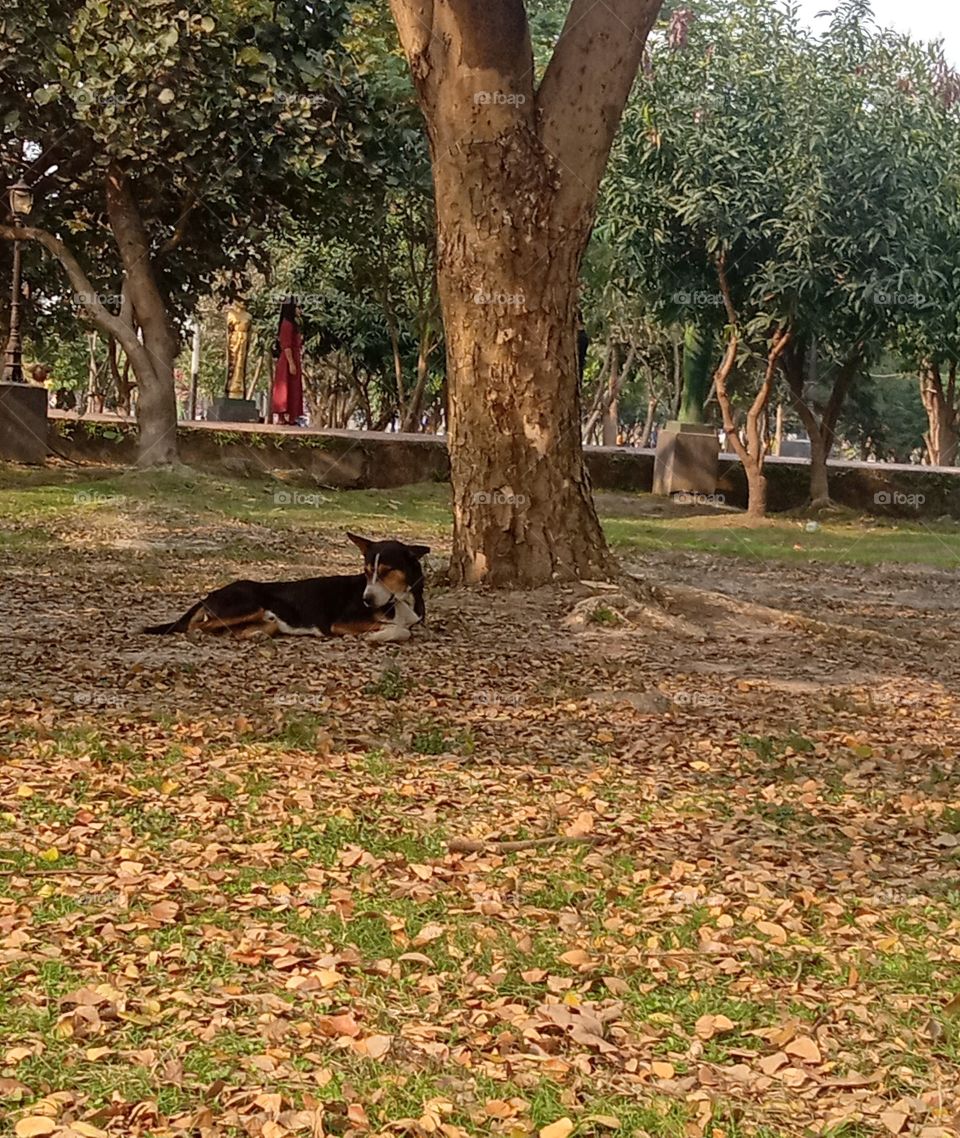how my friend peacefully sitting under tree💚💙