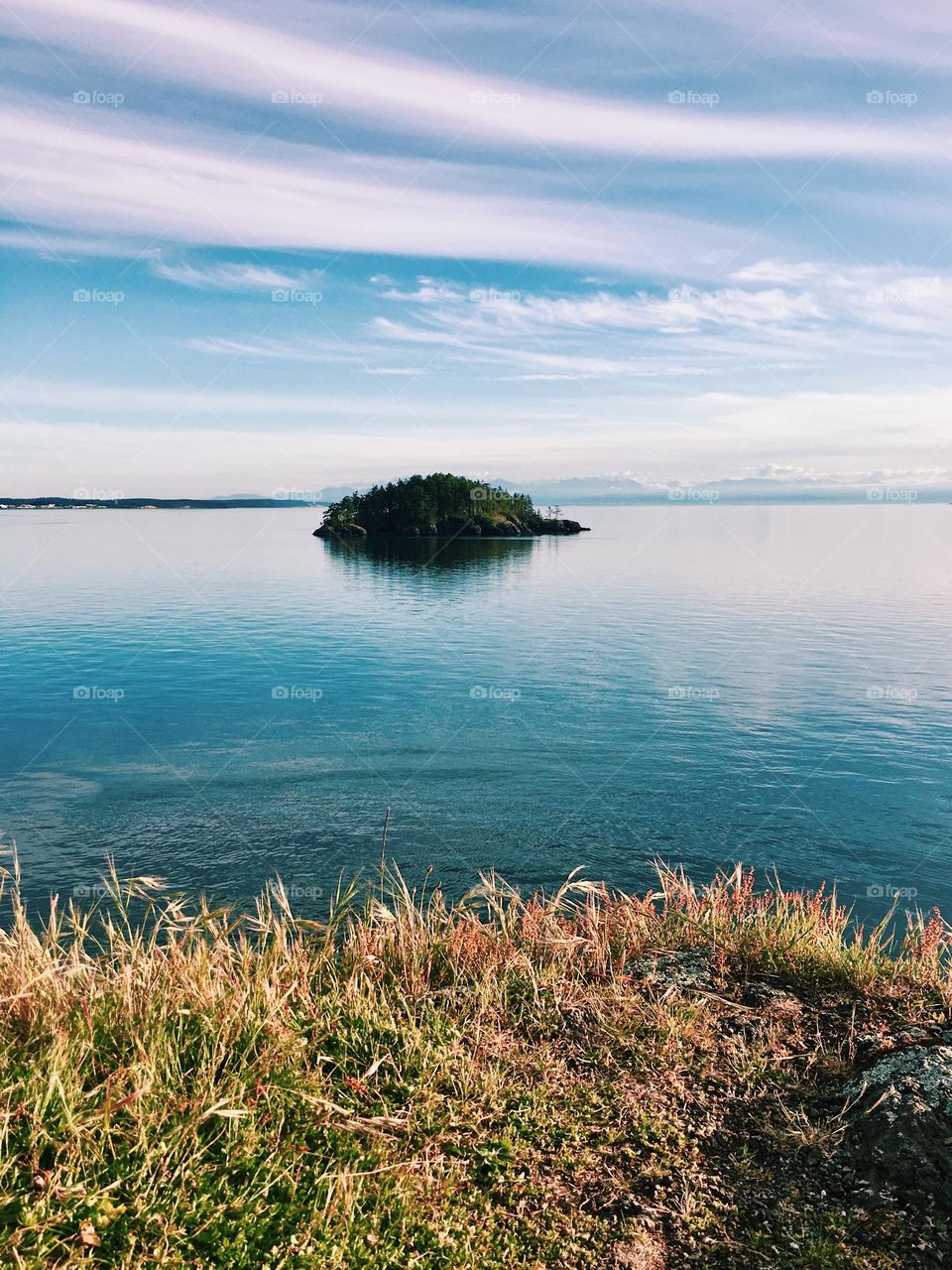 Sunny view of pnw island from grassy cliff