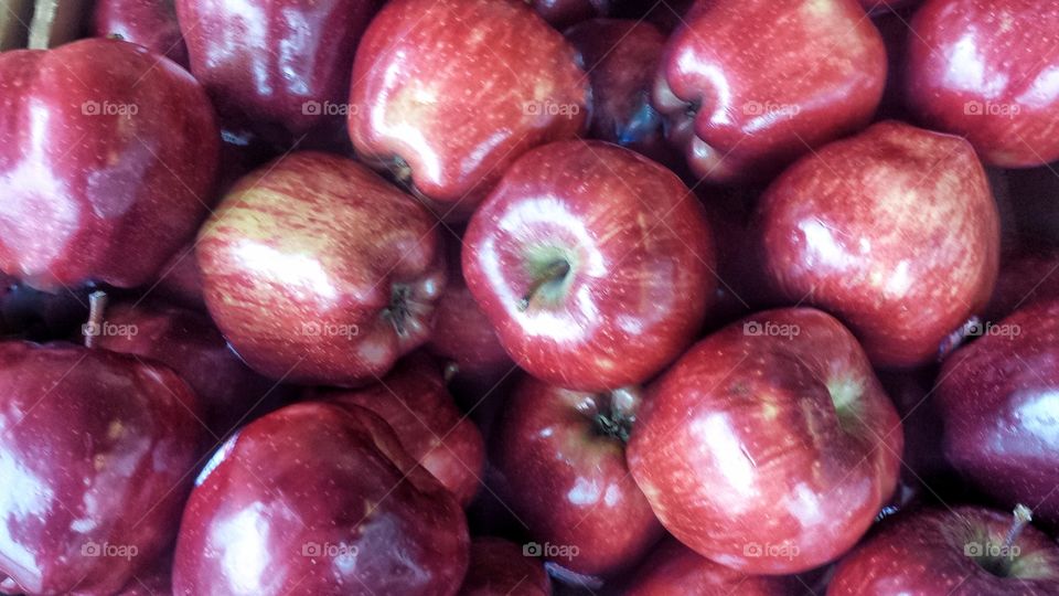 Autumn Favorites. Fresh Shiny Red Apples