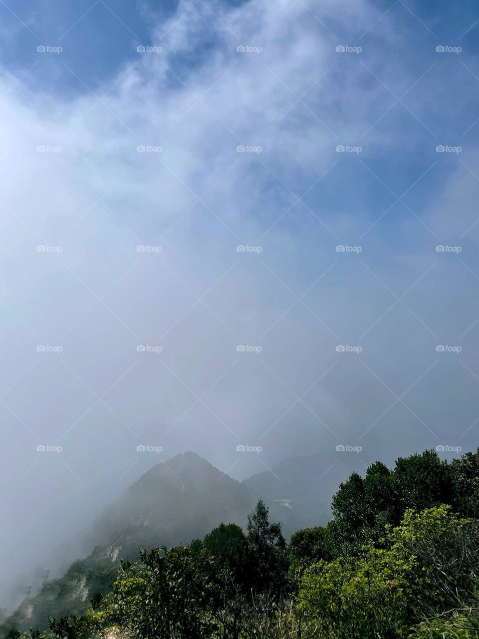 clouds forest Mountains 