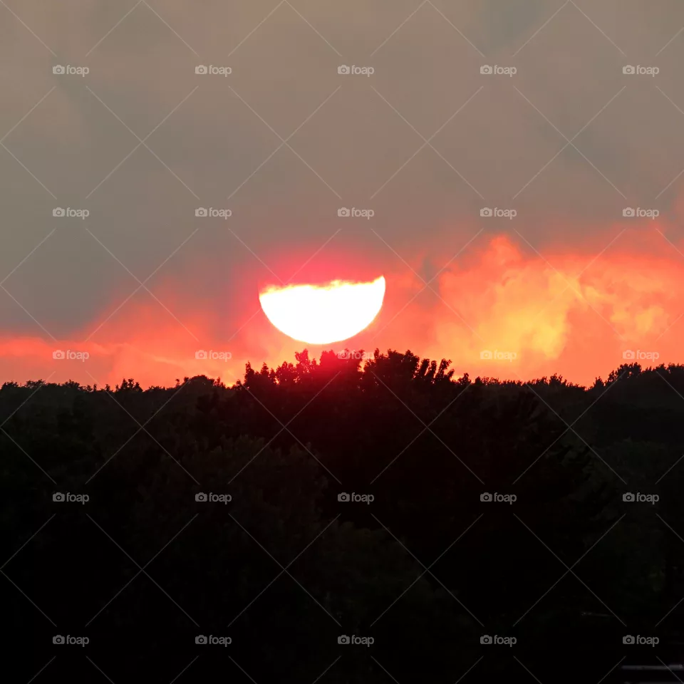 Pink sunset
