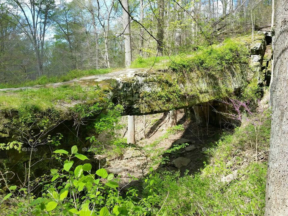 Natural Bridge