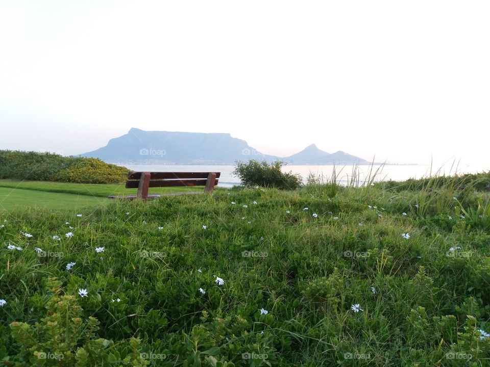 Bench overlooking Table Mountain